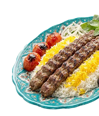 Kabab kubideh in dubi